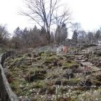 Vácrátóti Arborétum Vácrátót - 