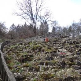 Vácrátóti Arborétum Vácrátót - Egyéb