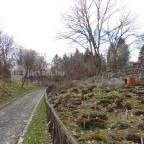 Vácrátóti Arborétum Vácrátót - 