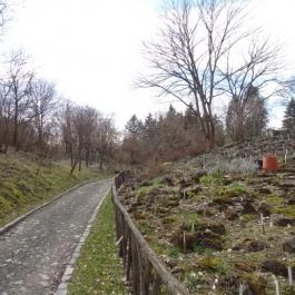 Vácrátóti Arborétum Vácrátót - Egyéb