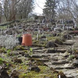 Vácrátóti Arborétum Vácrátót - Egyéb