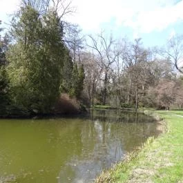 Vácrátóti Arborétum Vácrátót - Egyéb