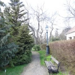 Vácrátóti Arborétum Vácrátót - Egyéb