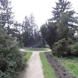 Vácrátóti Arborétum Vácrátót - Egyéb