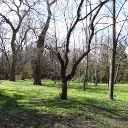 Vácrátóti Arborétum Vácrátót - Egyéb