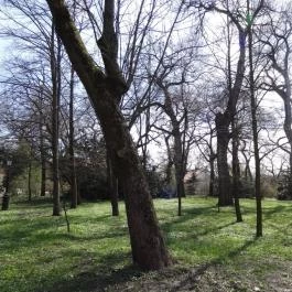 Vácrátóti Arborétum Vácrátót - Egyéb