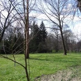 Vácrátóti Arborétum Vácrátót - Egyéb