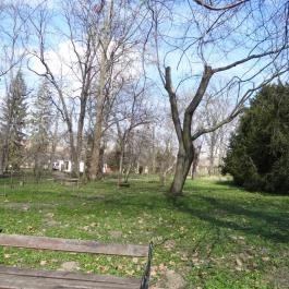 Vácrátóti Arborétum Vácrátót - Egyéb