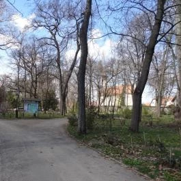 Vácrátóti Arborétum Vácrátót - Egyéb