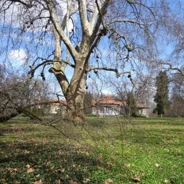 Vácrátóti Arborétum Vácrátót - Egyéb