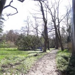 Vácrátóti Arborétum Vácrátót - Egyéb