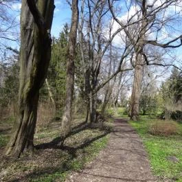 Vácrátóti Arborétum Vácrátót - Egyéb