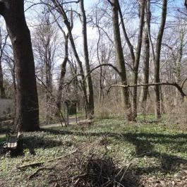 Vácrátóti Arborétum Vácrátót - Egyéb