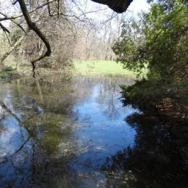 Vácrátóti Arborétum Vácrátót - Egyéb