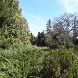 Vácrátóti Arborétum Vácrátót - Egyéb