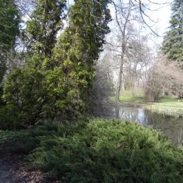 Vácrátóti Arborétum Vácrátót - Egyéb