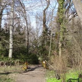 Vácrátóti Arborétum Vácrátót - Egyéb