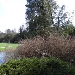 Vácrátóti Arborétum Vácrátót - Egyéb