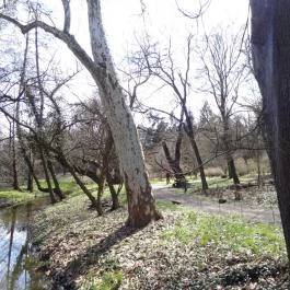 Vácrátóti Arborétum Vácrátót - Egyéb