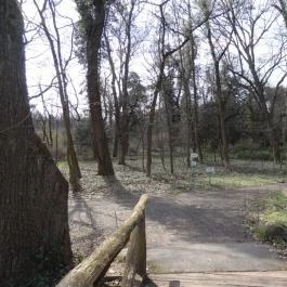 Vácrátóti Arborétum Vácrátót - Egyéb