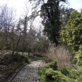 Vácrátóti Arborétum Vácrátót - Egyéb