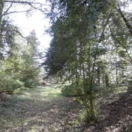 Vácrátóti Arborétum Vácrátót - Egyéb