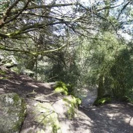 Vácrátóti Arborétum Vácrátót - Egyéb