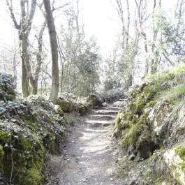 Vácrátóti Arborétum Vácrátót - Egyéb