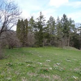 Vácrátóti Arborétum Vácrátót - Egyéb