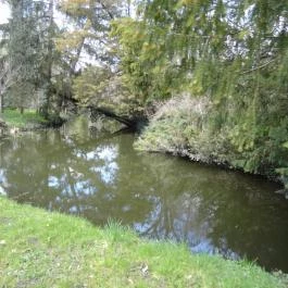 Vácrátóti Arborétum Vácrátót - Egyéb