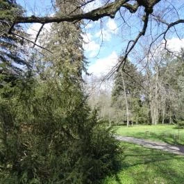 Vácrátóti Arborétum Vácrátót - Egyéb