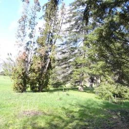 Vácrátóti Arborétum Vácrátót - Egyéb