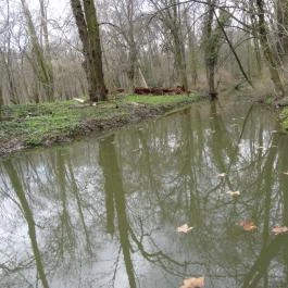 Magyarország Történeti Kertjei Kiállítás, Alcsútdoboz - 