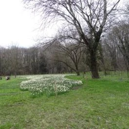 Magyarország Történeti Kertjei Kiállítás, Alcsútdoboz - 
