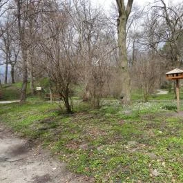 Magyarország Történeti Kertjei Kiállítás, Alcsútdoboz - 