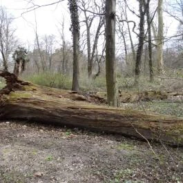 Magyarország Történeti Kertjei Kiállítás, Alcsútdoboz - 