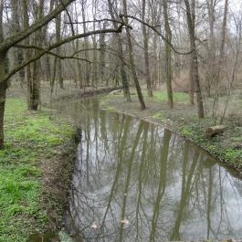 Magyarország Történeti Kertjei Kiállítás, Alcsútdoboz - 