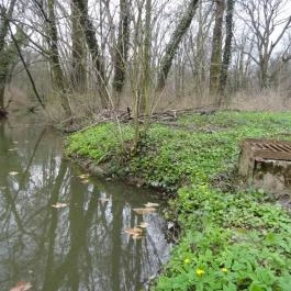 Magyarország Történeti Kertjei Kiállítás, Alcsútdoboz - 