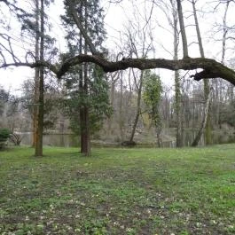 Magyarország Történeti Kertjei Kiállítás, Alcsútdoboz - 