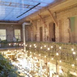 Mazel Tov Budapest - Belső