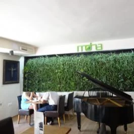 Moha Café, Budapest - Belső