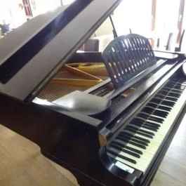 Moha Café, Budapest - Belső