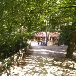 Ördögmalom Erdei Étterem, Visegrád - Külső kép