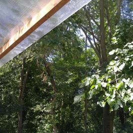 Ördögmalom Erdei Étterem, Visegrád - Egyéb