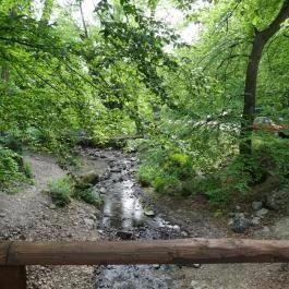 Ördögmalom Erdei Étterem, Visegrád - Külső kép