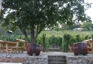 Öreg Harang Borozó Hévíz