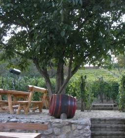 Öreg Harang Borozó