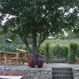 Öreg Harang Borozó Hévíz - Külső kép