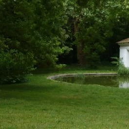 Öreg Tölgy Kastélyfogadó, Pusztazámor - Környék