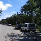 Pécsi Állatkert Pécs - 